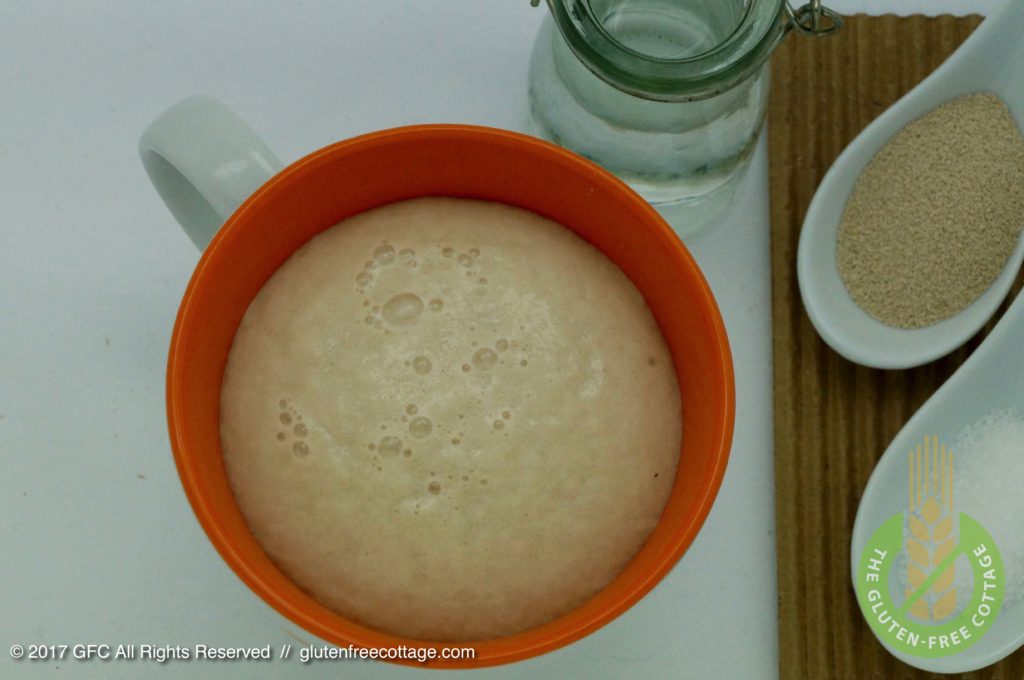 Yeast ingredients: active dry yeast, granulated sugar and water (gluten-free sandwich bread).